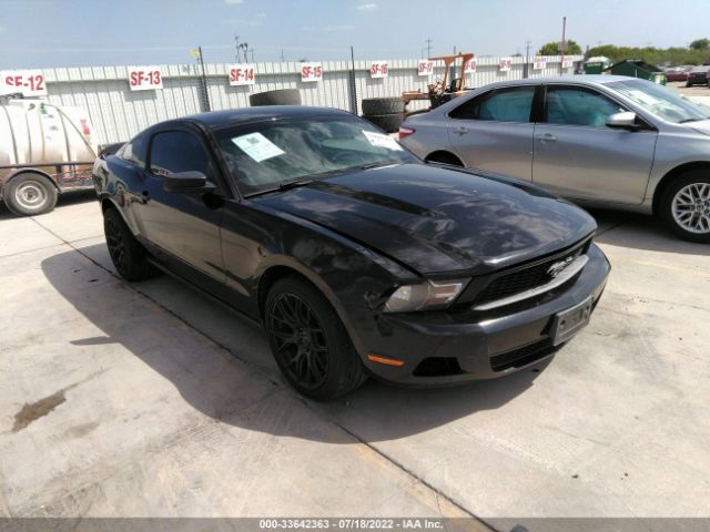 FORD MUSTANG 2011 1zvbp8am3b5165211