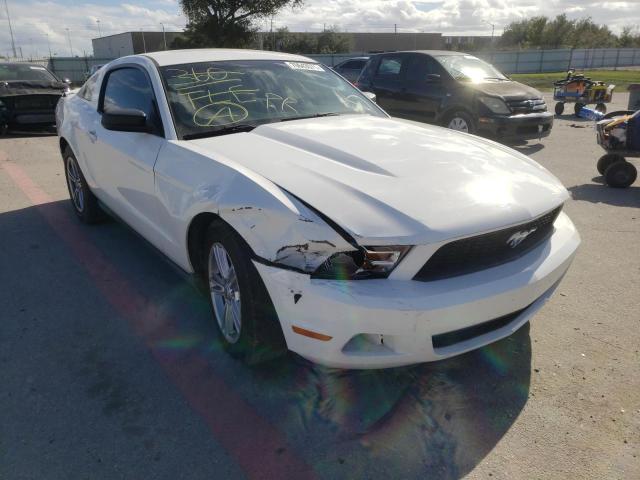 FORD MUSTANG 2011 1zvbp8am3b5170005