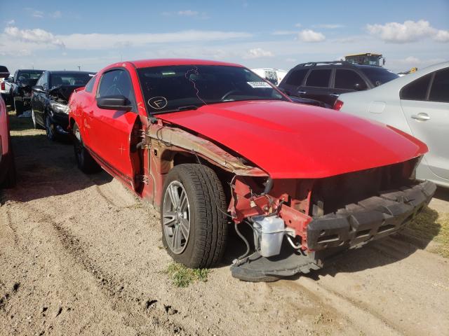 FORD MUSTANG 2012 1zvbp8am3c5205529