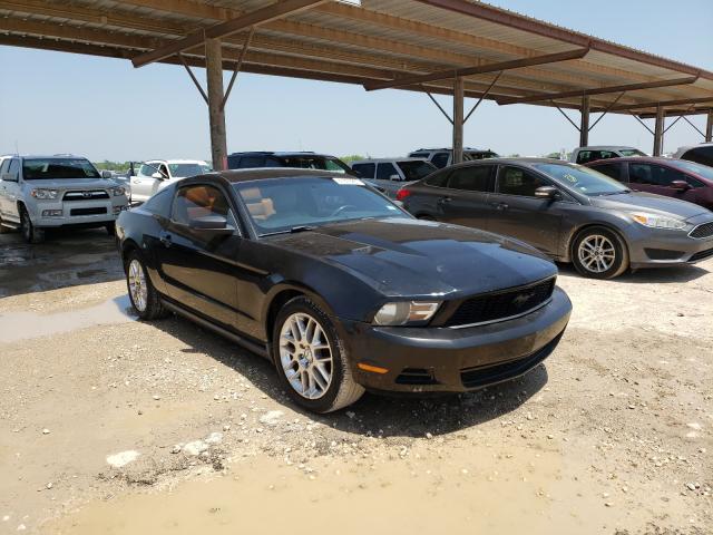 FORD MUSTANG 2012 1zvbp8am3c5227188