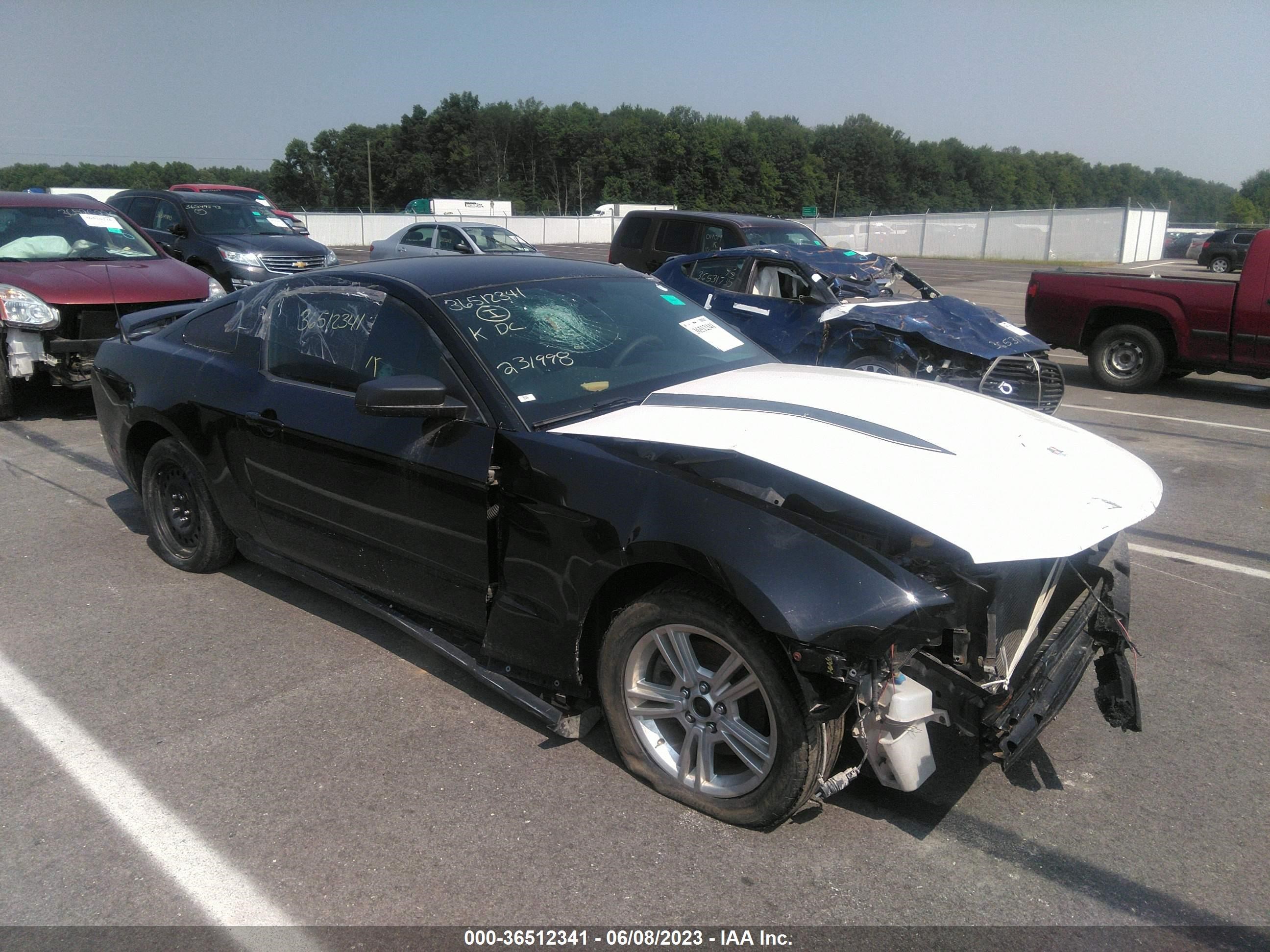 FORD MUSTANG 2012 1zvbp8am3c5231998