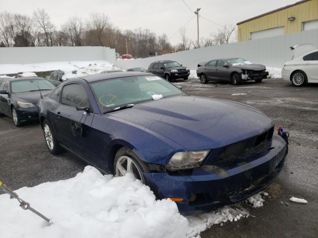 FORD MUSTANG 2012 1zvbp8am3c5243360