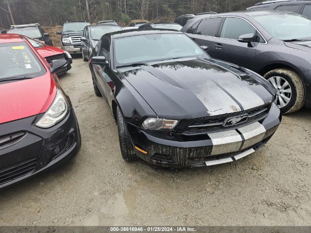 FORD MUSTANG 2012 1zvbp8am3c5281316