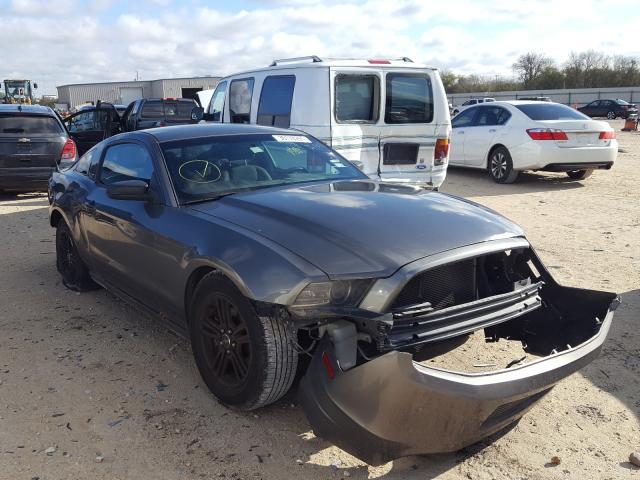 FORD MUSTANG 2013 1zvbp8am3d5204818