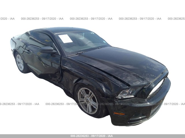 FORD MUSTANG 2013 1zvbp8am3d5210960