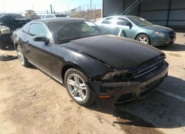 FORD MUSTANG 2013 1zvbp8am3d5212840