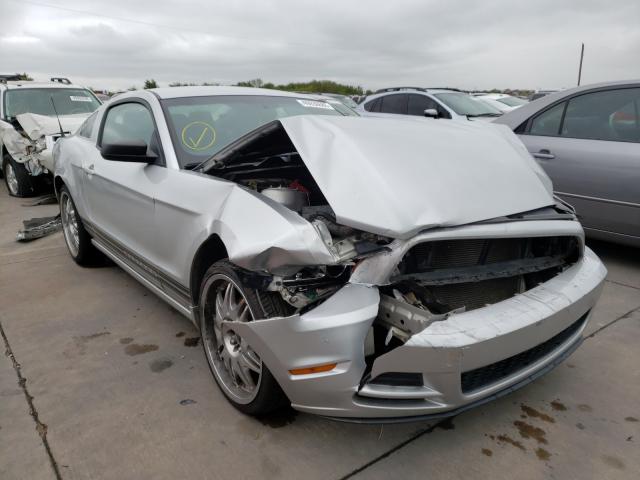 FORD MUSTANG 2013 1zvbp8am3d5213499