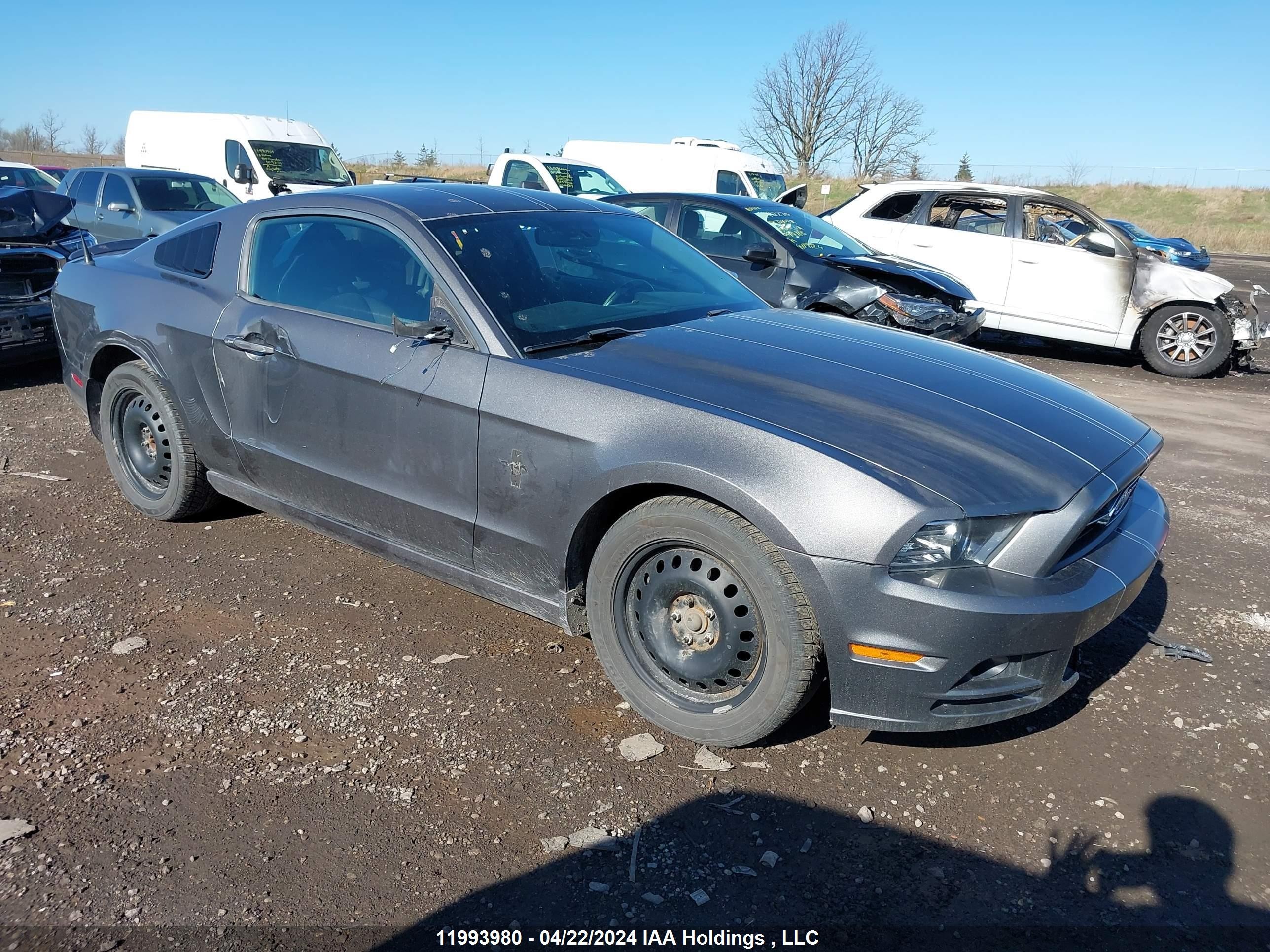 FORD MUSTANG 2013 1zvbp8am3d5214698