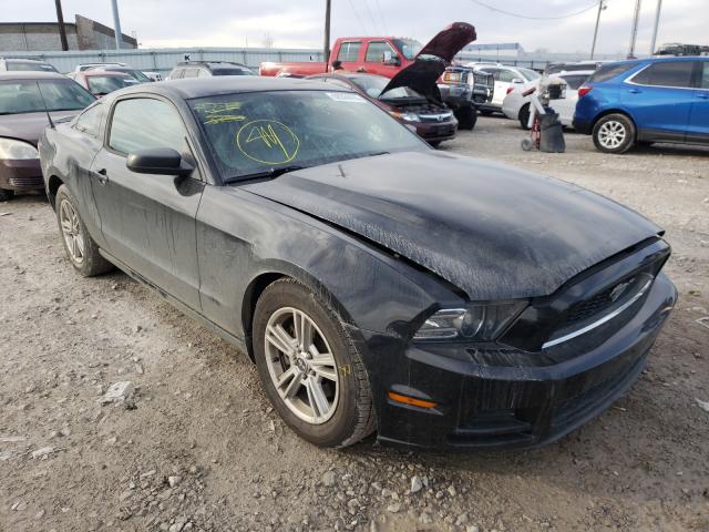 FORD MUSTANG 2013 1zvbp8am3d5226480