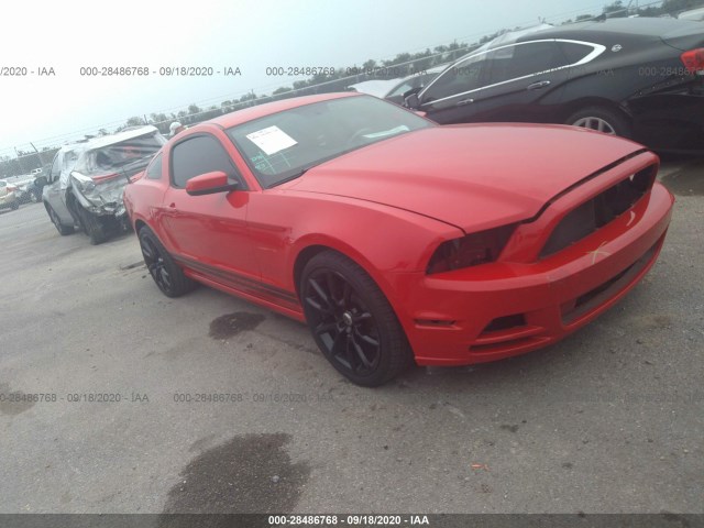 FORD MUSTANG 2013 1zvbp8am3d5230240