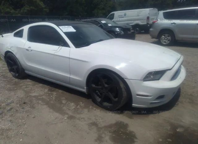 FORD MUSTANG 2013 1zvbp8am3d5235454