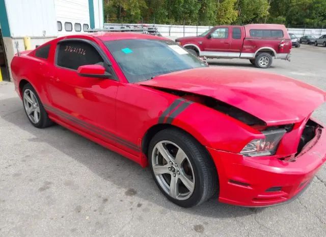 FORD MUSTANG 2013 1zvbp8am3d5239522