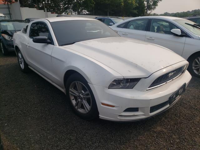 FORD MUSTANG 2013 1zvbp8am3d5241707