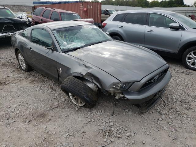 FORD MUSTANG 2013 1zvbp8am3d5247135