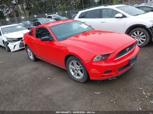 FORD MUSTANG 2013 1zvbp8am3d5248219