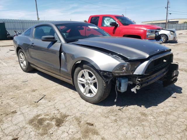 FORD MUSTANG 2013 1zvbp8am3d5254389