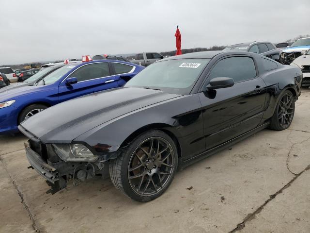 FORD MUSTANG 2013 1zvbp8am3d5259463