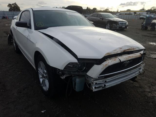 FORD MUSTANG 2013 1zvbp8am3d5259513