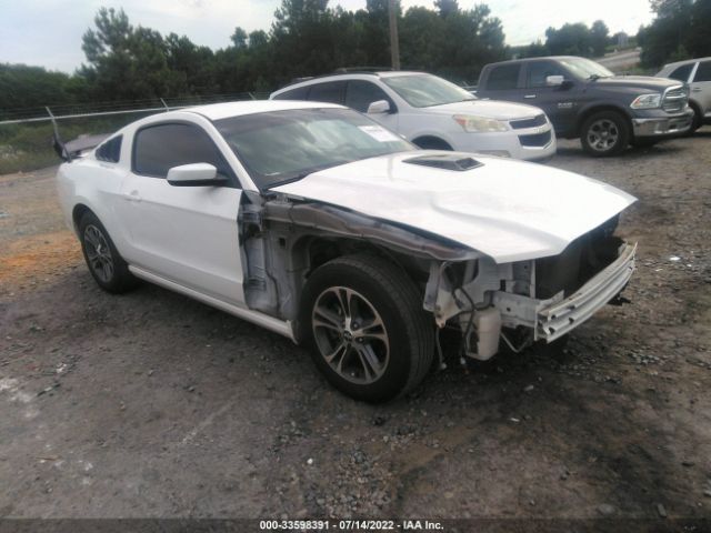 FORD MUSTANG 2013 1zvbp8am3d5260399