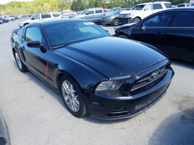 FORD MUSTANG 2013 1zvbp8am3d5262217