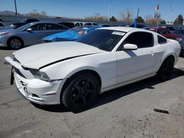 FORD ALL MODELS 2013 1zvbp8am3d5264940