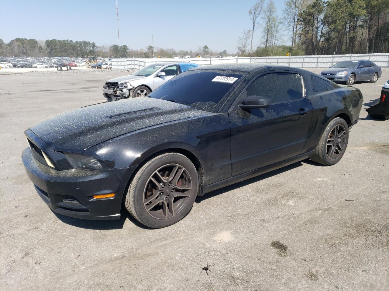 FORD MUSTANG 2013 1zvbp8am3d5265859