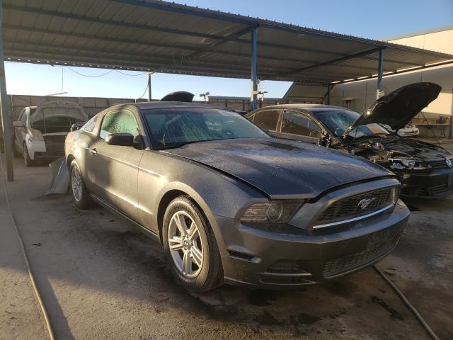 FORD MUSTANG 2013 1zvbp8am3d5267109