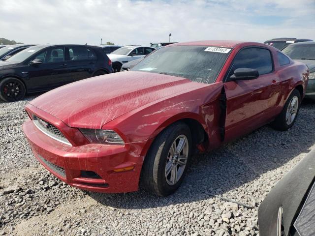 FORD MUSTANG 2013 1zvbp8am3d5268406