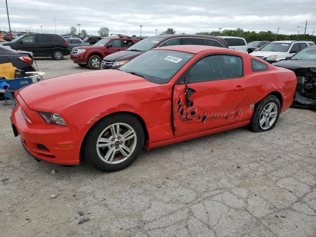 FORD MUSTANG 2013 1zvbp8am3d5269992