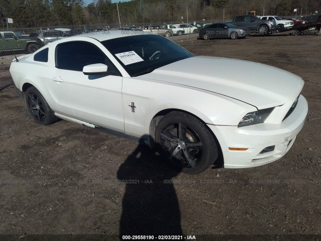 FORD MUSTANG 2013 1zvbp8am3d5270561