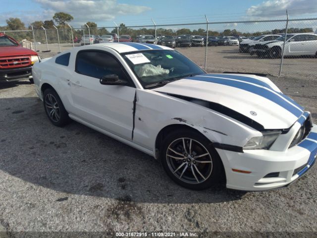 FORD MUSTANG 2013 1zvbp8am3d5271984