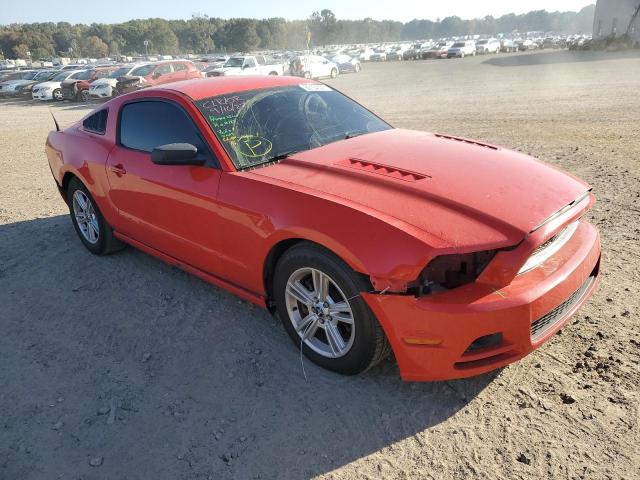 FORD MUSTANG 2013 1zvbp8am3d5273816