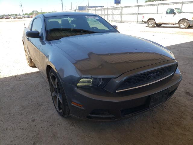 FORD MUSTANG 2013 1zvbp8am3d5274271