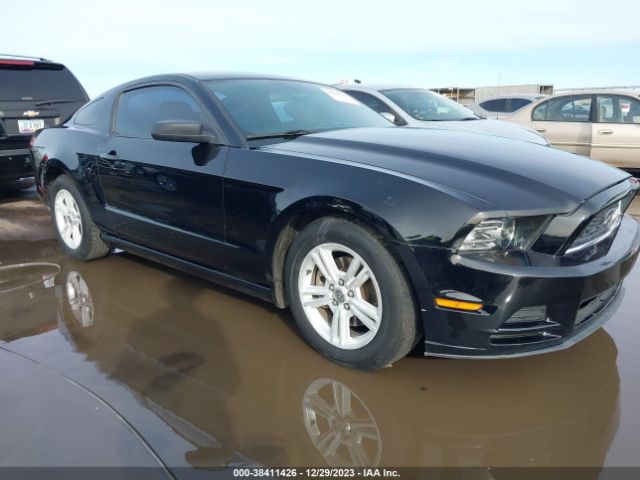 FORD MUSTANG 2013 1zvbp8am3d5276070