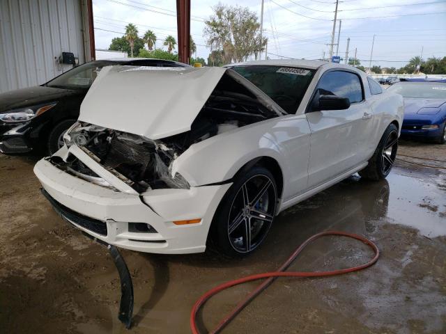 FORD MUSTANG 2013 1zvbp8am3d5277770