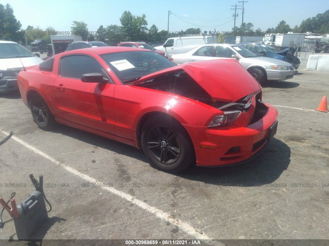 FORD MUSTANG 2013 1zvbp8am3d5278157