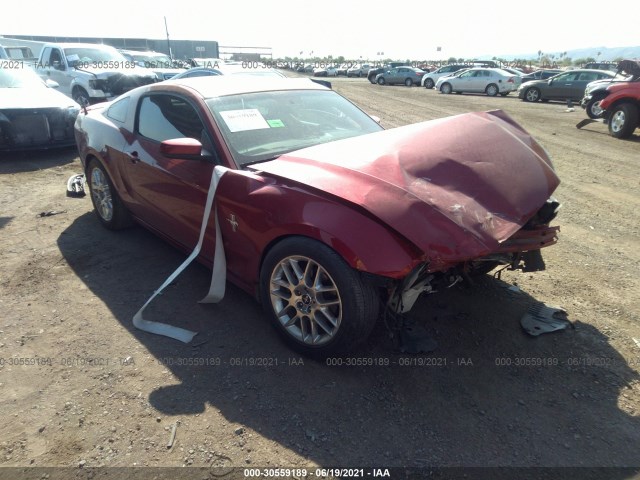 FORD MUSTANG 2013 1zvbp8am3d5279891