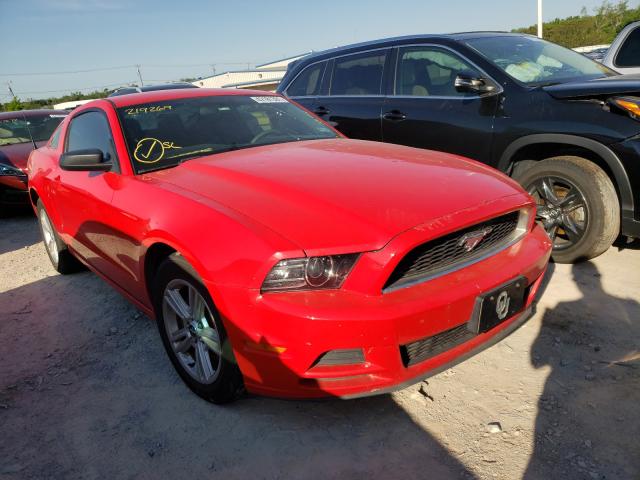 FORD MUSTANG 2014 1zvbp8am3e5219269