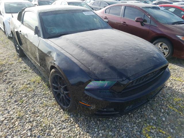 FORD MUSTANG 2014 1zvbp8am3e5220566