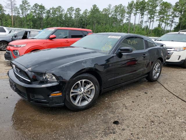 FORD MUSTANG 2014 1zvbp8am3e5230675