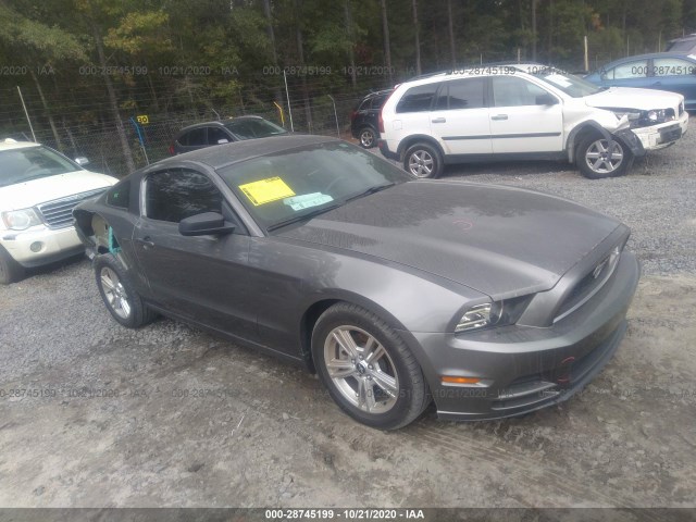 FORD MUSTANG 2014 1zvbp8am3e5230840