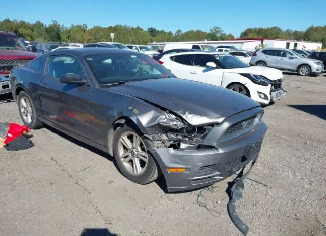 FORD MUSTANG 2014 1zvbp8am3e5244883