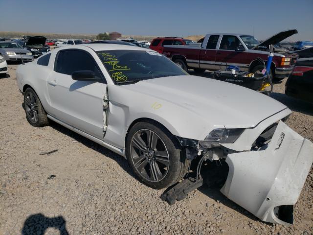 FORD MUSTANG 2014 1zvbp8am3e5254877