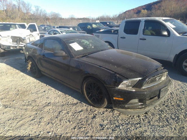 FORD MUSTANG 2014 1zvbp8am3e5263952