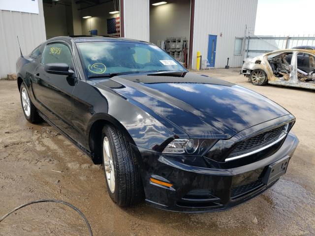 FORD MUSTANG 2014 1zvbp8am3e5280511