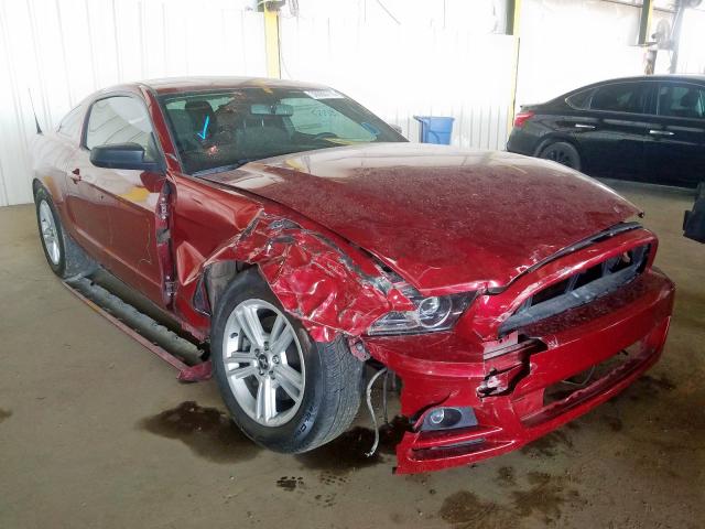 FORD MUSTANG 2014 1zvbp8am3e5281402