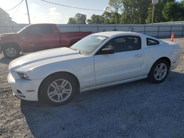 FORD MUSTANG 2014 1zvbp8am3e5290178