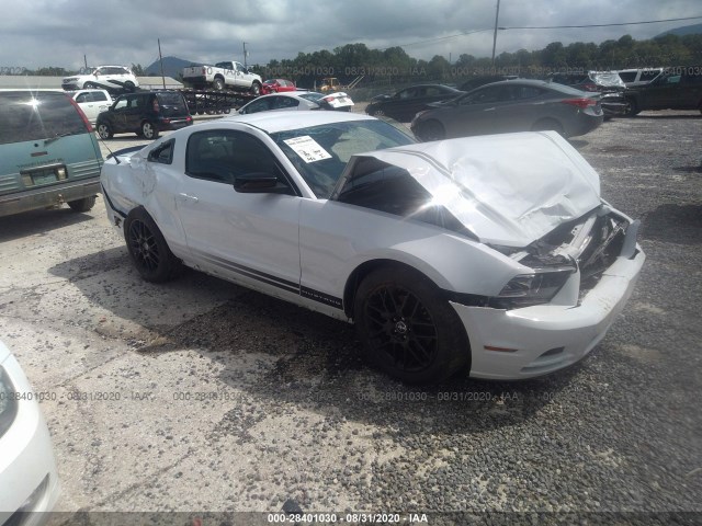 FORD MUSTANG 2014 1zvbp8am3e5319081