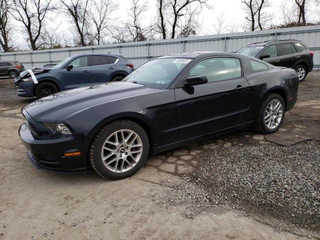 FORD MUSTANG 2014 1zvbp8am3e5319713