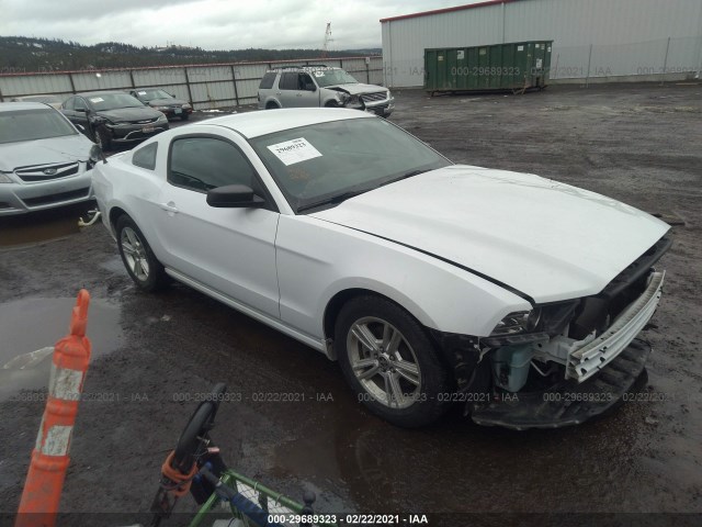 FORD MUSTANG 2014 1zvbp8am3e5322174